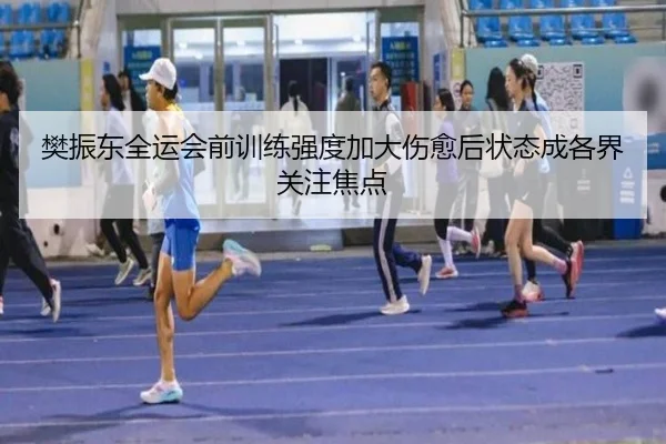 樊振东全运会前训练强度加大伤愈后状态成各界关注焦点